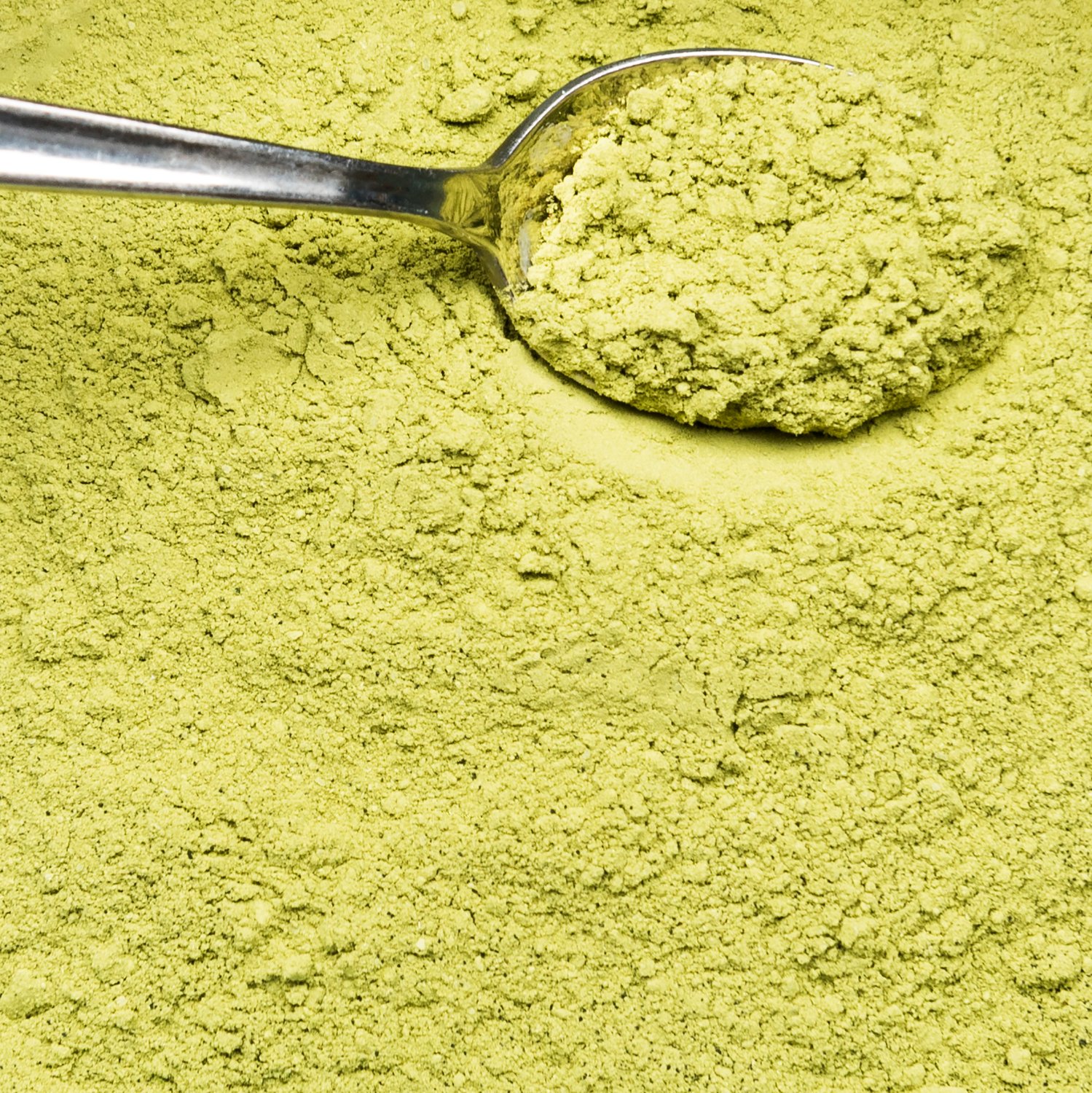 moringa powder exporter from india